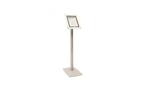 Fixed iPad Kiosk