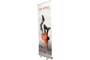 Giant Mosquito Roll-Up Banner 100cm