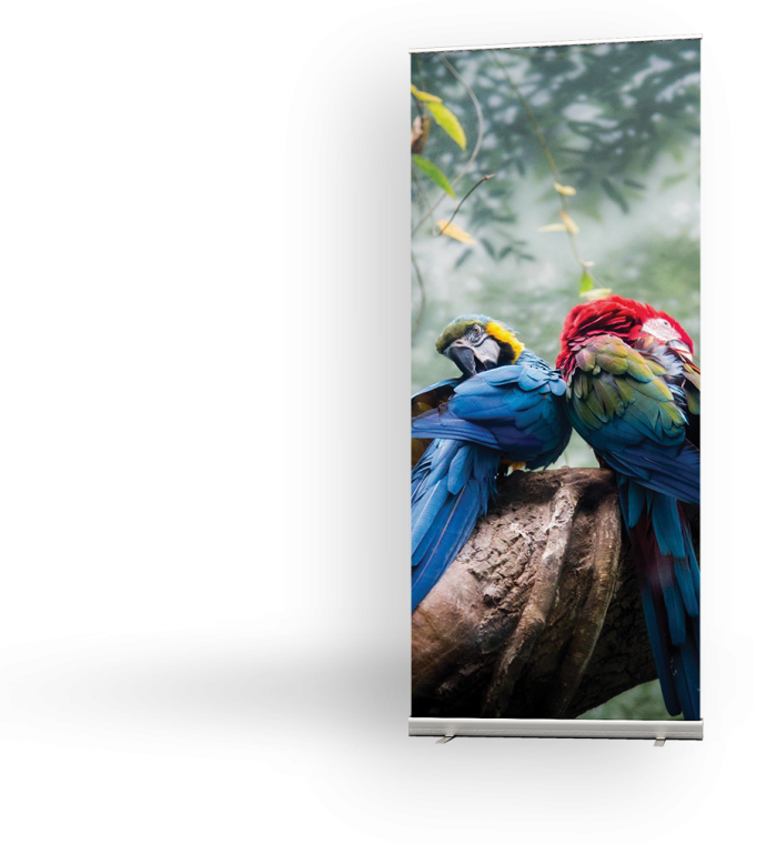 Banner-Parrot