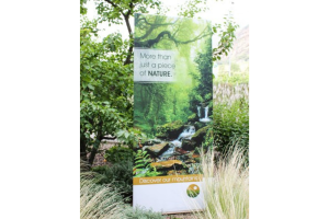 Holz Bannerstand Eco mit Druck 800x2000